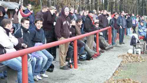 Fans